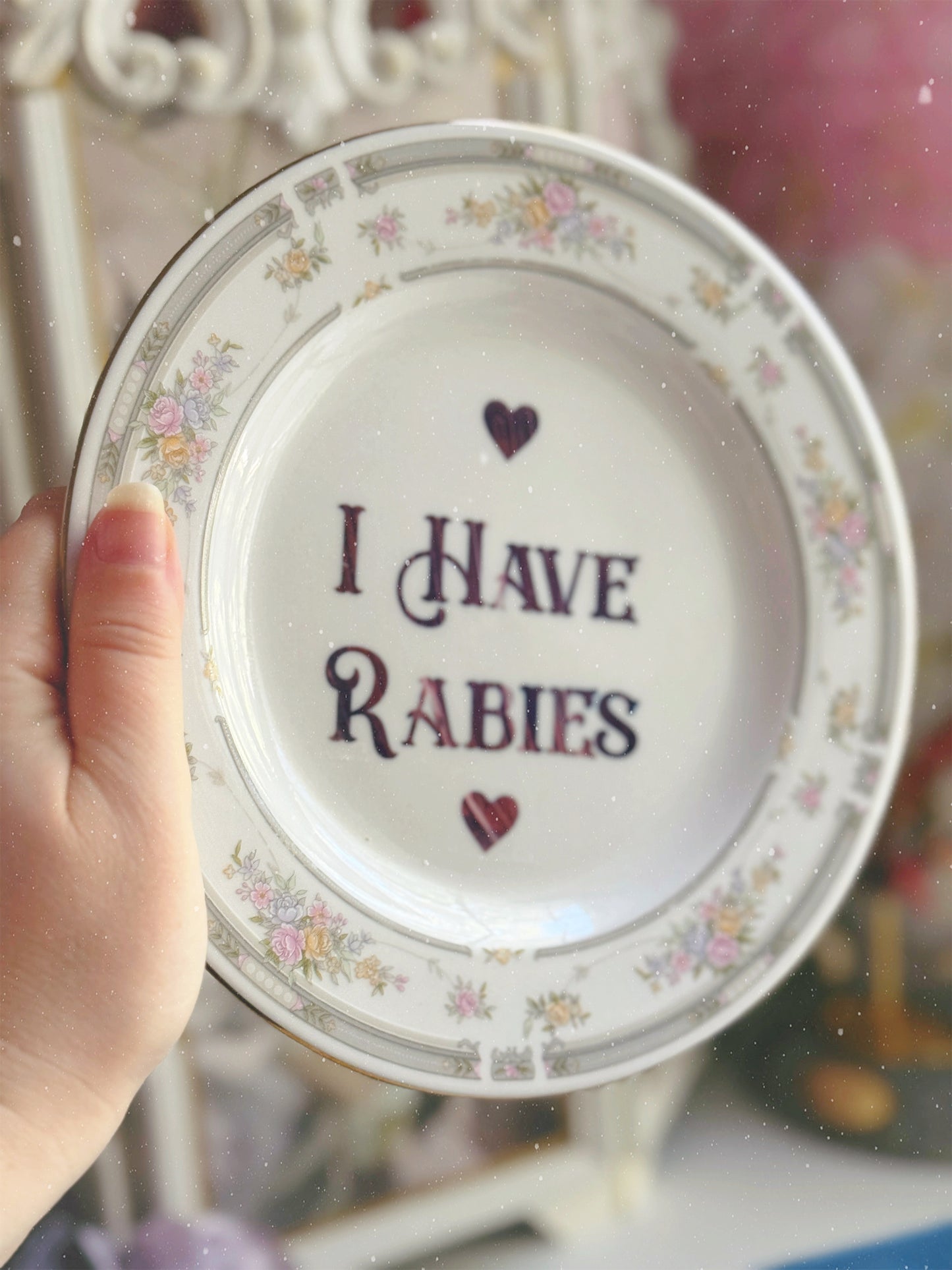 I Have Rabies - Dirty Dishware