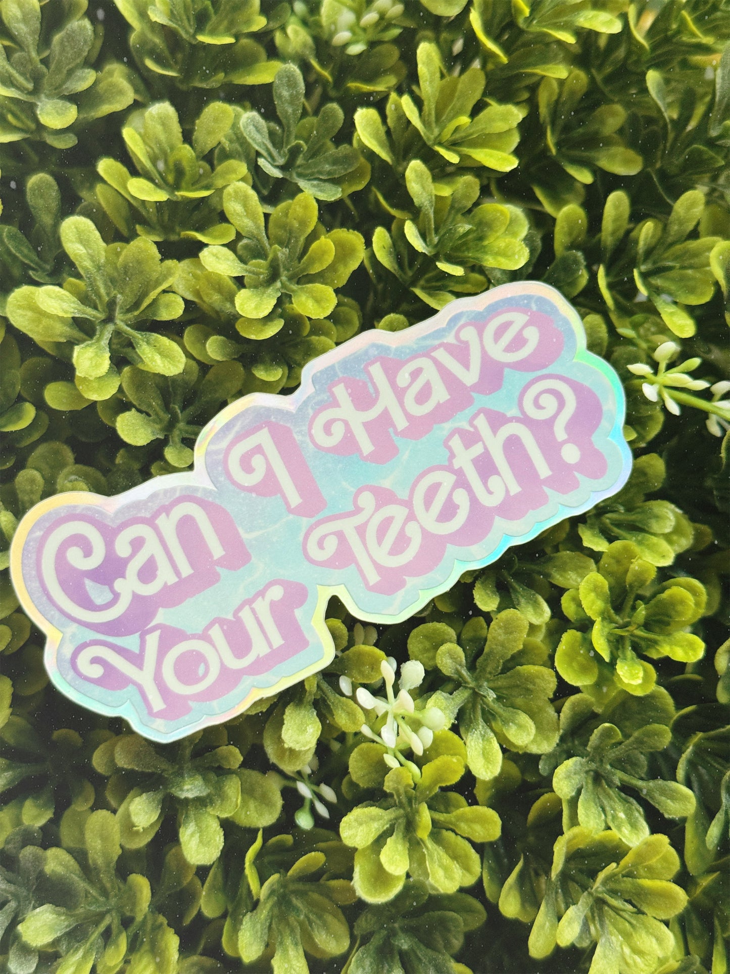 Can I Have Your Teeth? Vinyl Sticker