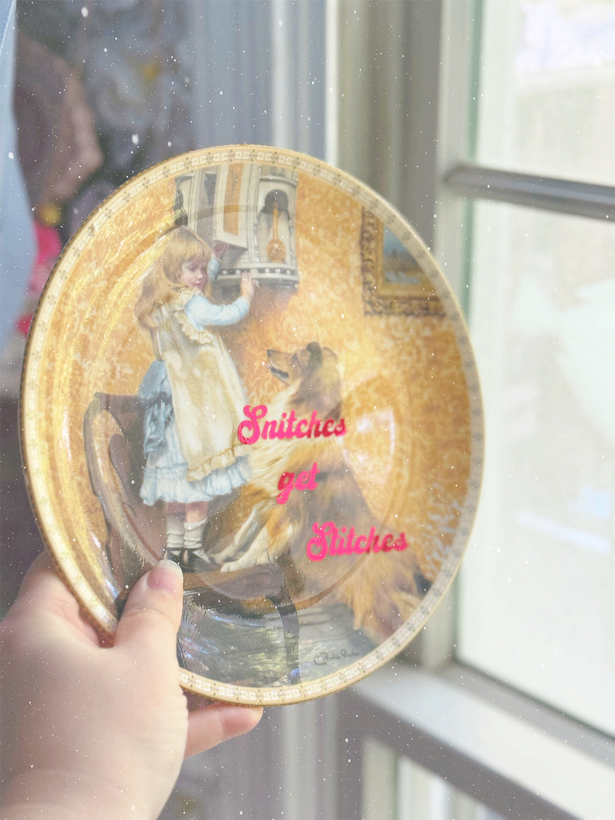 Snitches Get Stitches - Dirty Dish - Wall Decor
