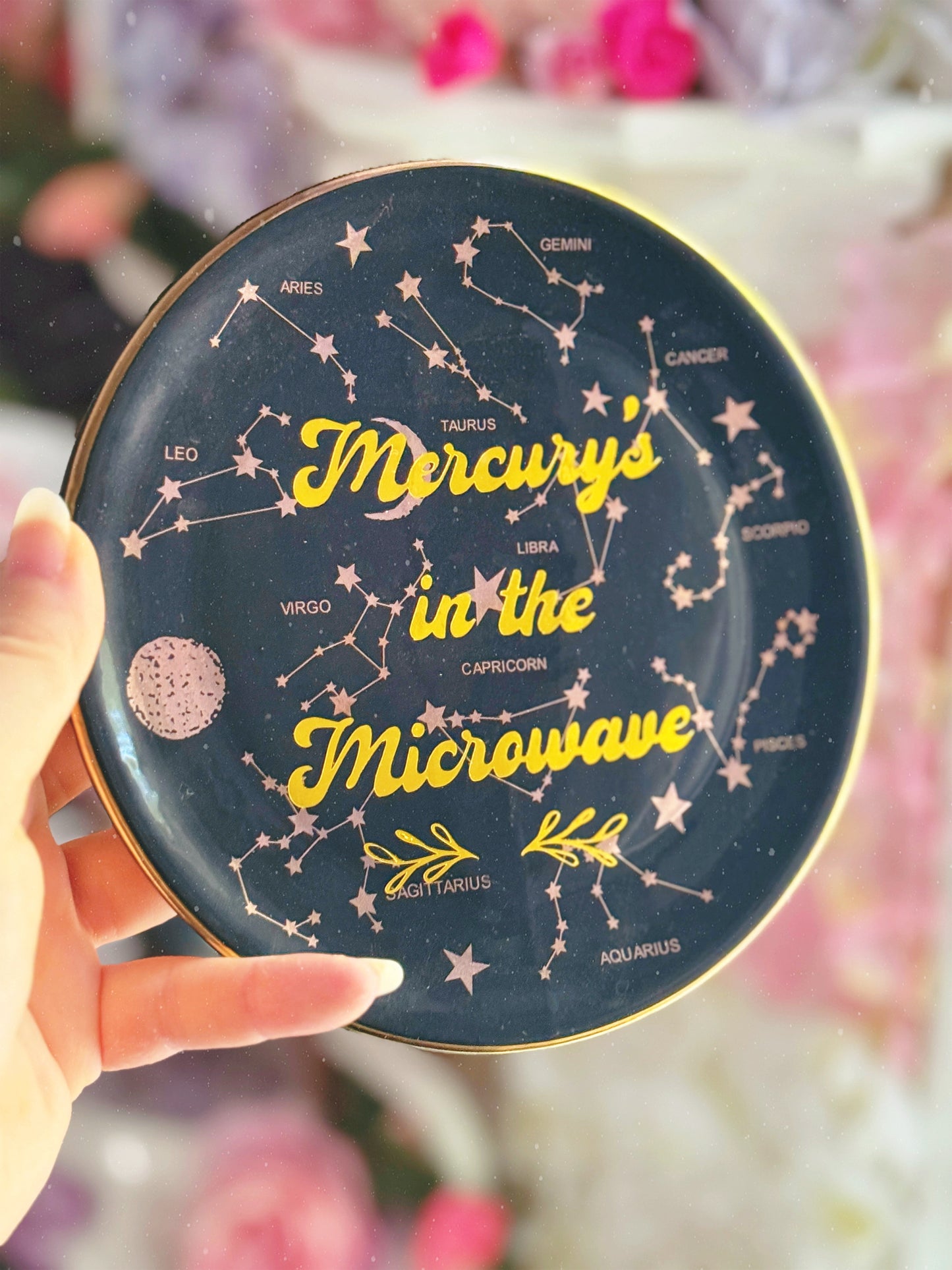 Mercury's in the Microwave - Dirty Dish - Wall Decor