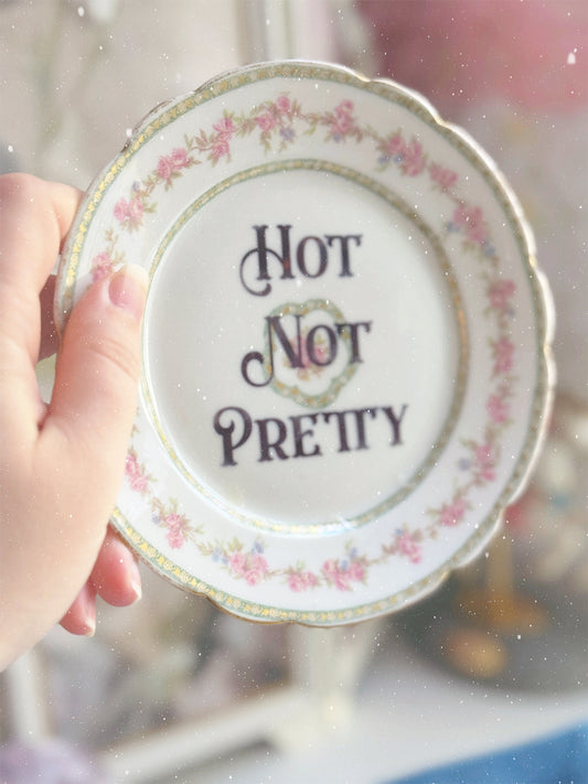 Hot Not Pretty - Dirty Dishware