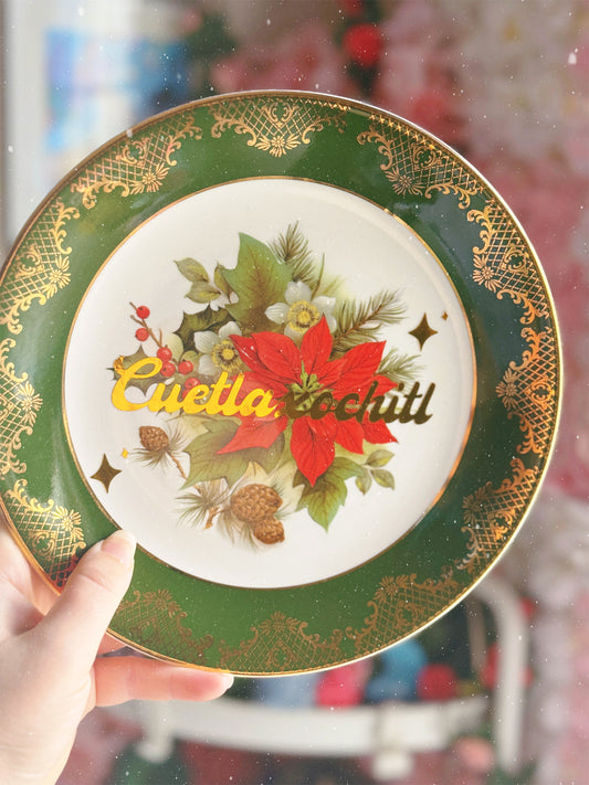 Cuetlaxochitl - Dirty Dish - Wall Decor
