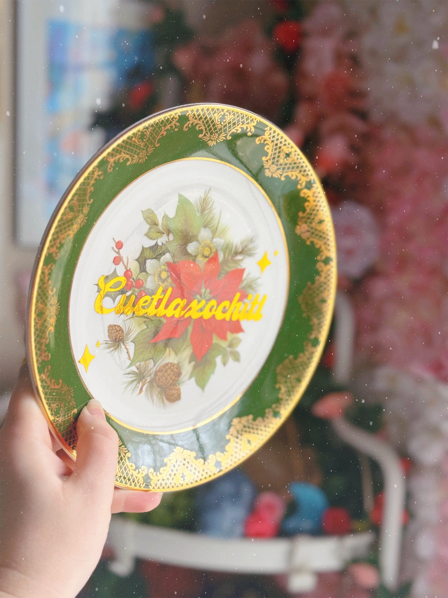 Cuetlaxochitl - Dirty Dish - Wall Decor