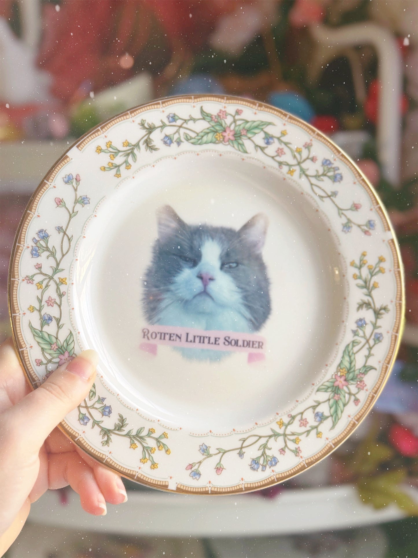 Rotten Little Soldier - Dirty Dish - Wall Decor