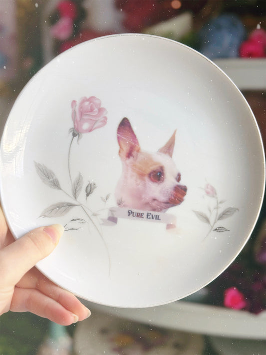 Pure Evil - Dirty Dish - Wall Decor